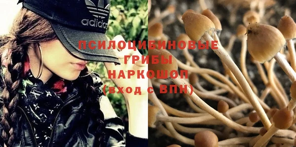 марки nbome Алексеевка