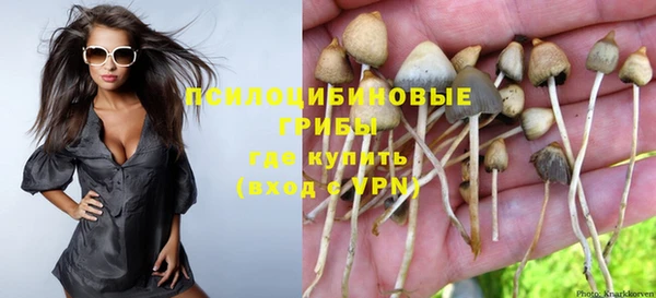 марки nbome Алексеевка